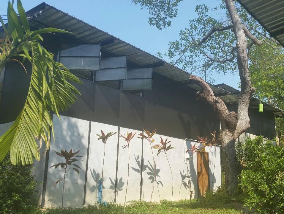 Himmapan Resort Koh Phayam Exteriör bild